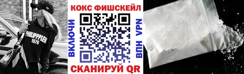 Cocaine Fish Scale  где купить наркотик  Сусуман 