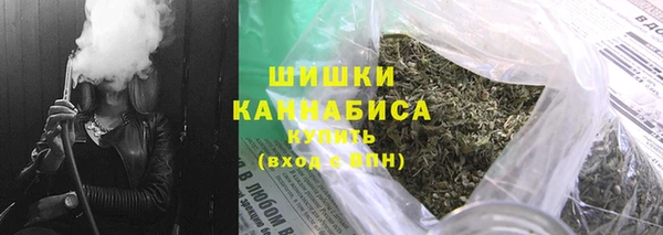 индика Абдулино