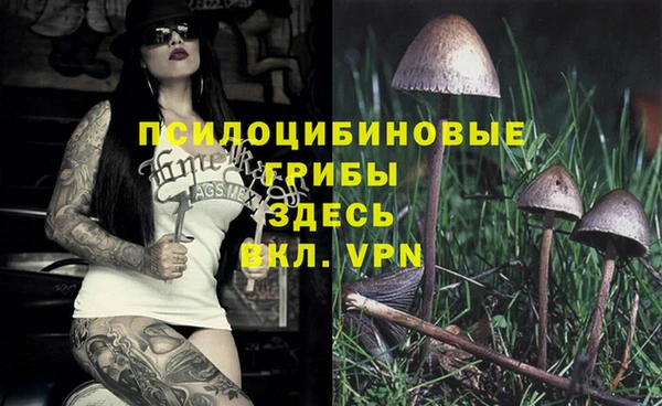 индика Абдулино