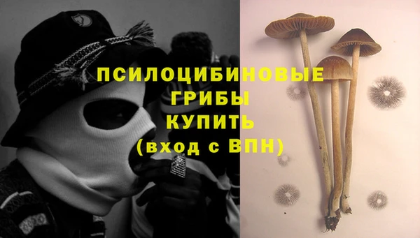 марки lsd Абаза