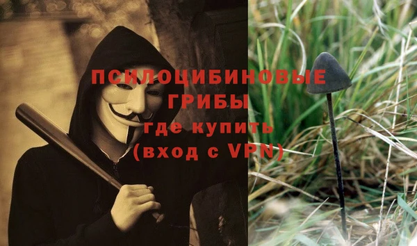 дурь Абинск