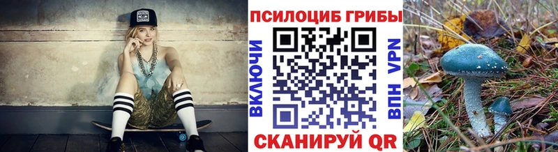 Псилоцибиновые грибы прущие грибы  Сусуман 